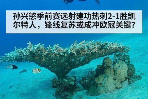 孙兴慜季前赛远射建功热刺2-1胜凯尔特人，锋线复苏或成冲欧冠关键？