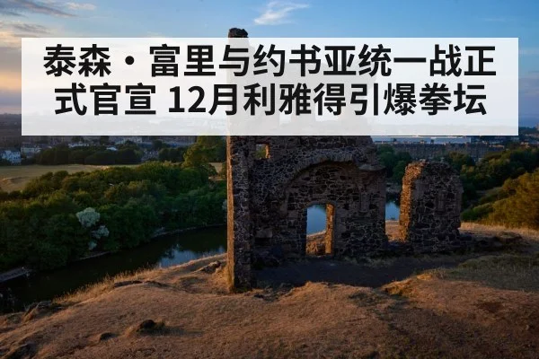 泰森·富里与约书亚统一战正式官宣 12月利雅得引爆拳坛