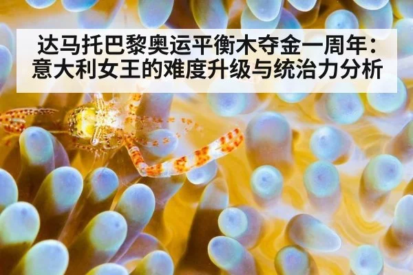 达马托巴黎奥运平衡木夺金一周年:意大利女王的难度升级与统治力分析